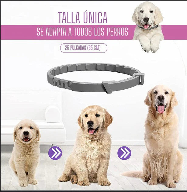 Collar Antipulgas®